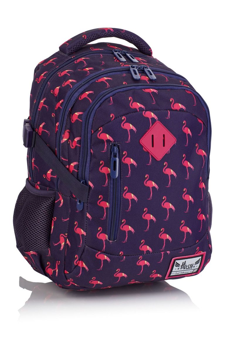 Astra Plecak szkolny HS-87 Hash 2