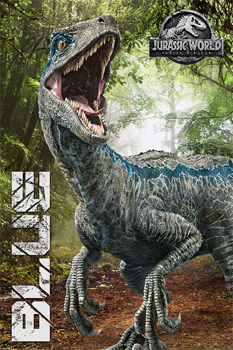 Pyramid s Jurassic World: Fallen Kingdom, Blue - plakat 61x91,5 PP34317