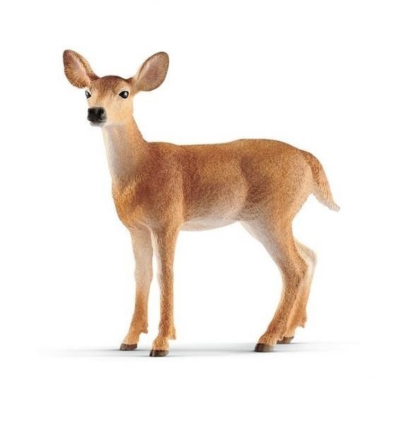Schleich Wild Life. Mulak białoogonowy