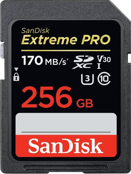 SanDisk Extreme 256GB (SDSDXXY-256G-GN4IN)