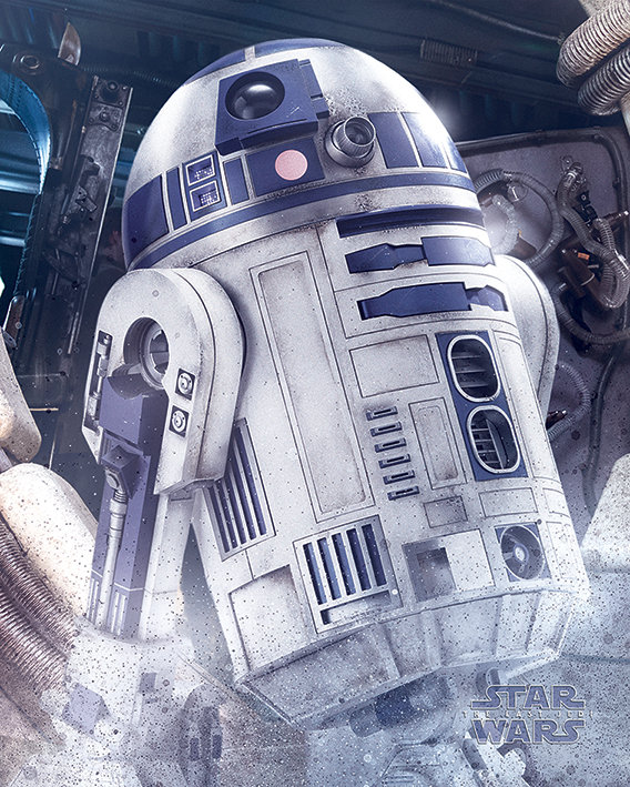 Pyramid Posters Star Wars The Last Jedi (R2-D2 Droid) - plakat 40x50 MPP50711