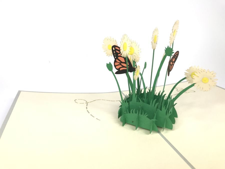 GrandGift Karnet na każdą okazję 3D, Stokrotki i motyle