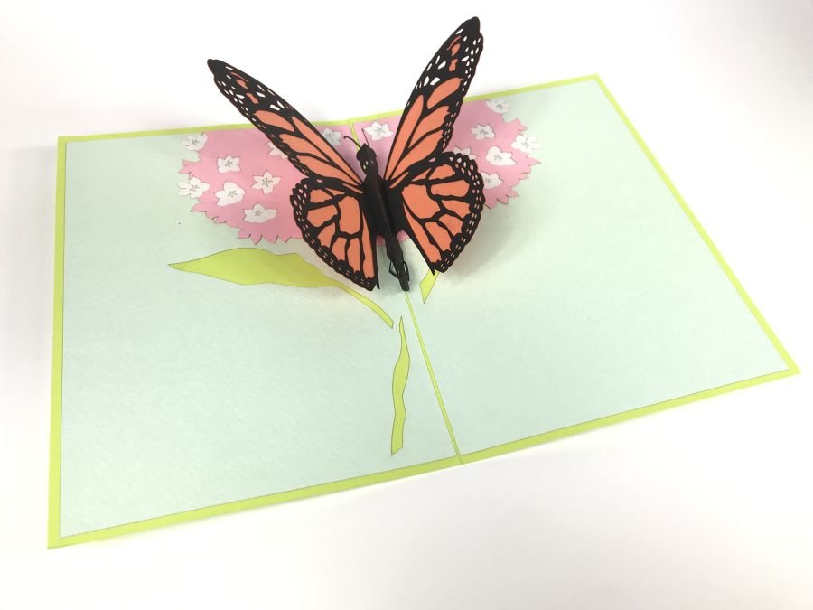 GrandGift Karnet walentynkowy 3D, Duży motyl na kwiatku