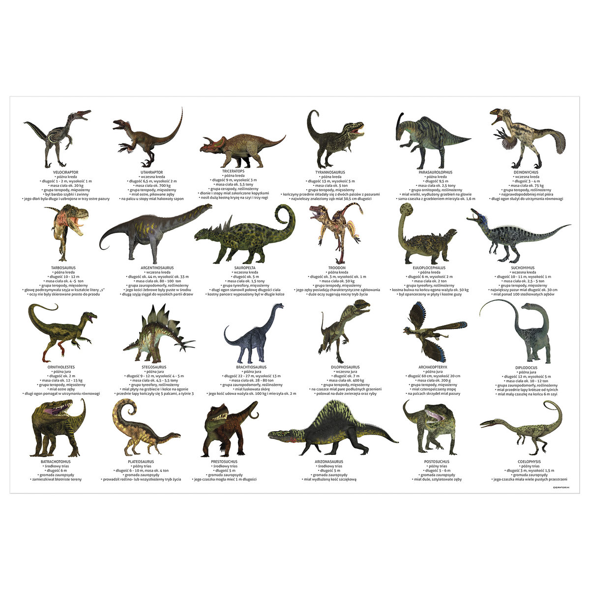Derform Podkład oklejany edukacyjny dinozaury