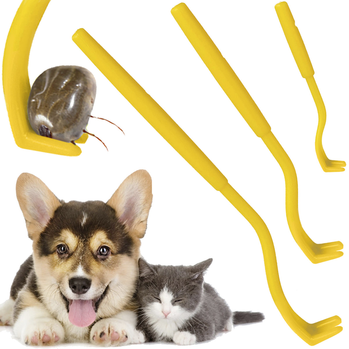 IsoTrade Kleszczołapki Haczyki do Usuwania Kleszczy 3szt 6601 00006601