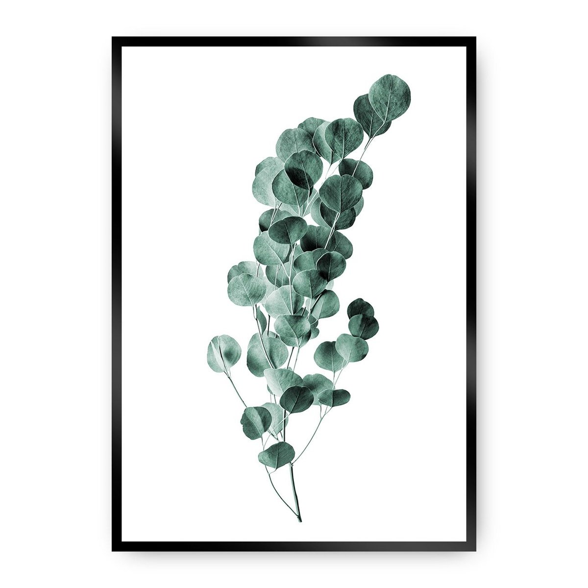 Dekoria Dekoria Plakat Eucalyptus Emerald Green 50 x 70 cm Ramka Czarna 222E-000-02