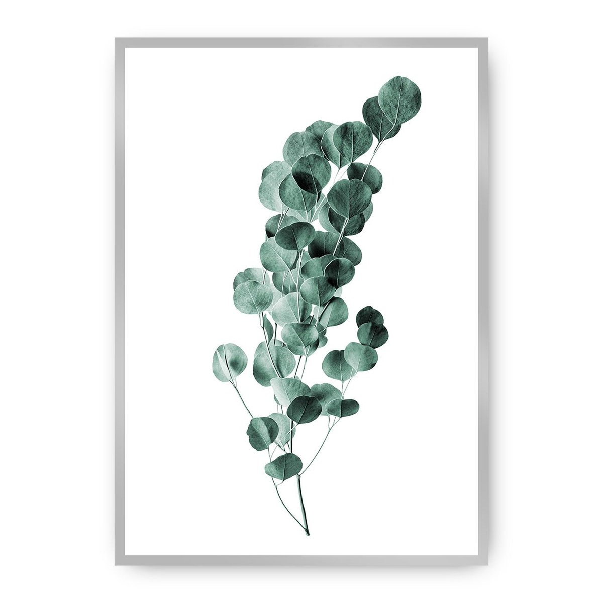 Dekoria Dekoria Plakat Eucalyptus Emerald Green 50 x 70 cm Ramka Srebrna 222G-000-02