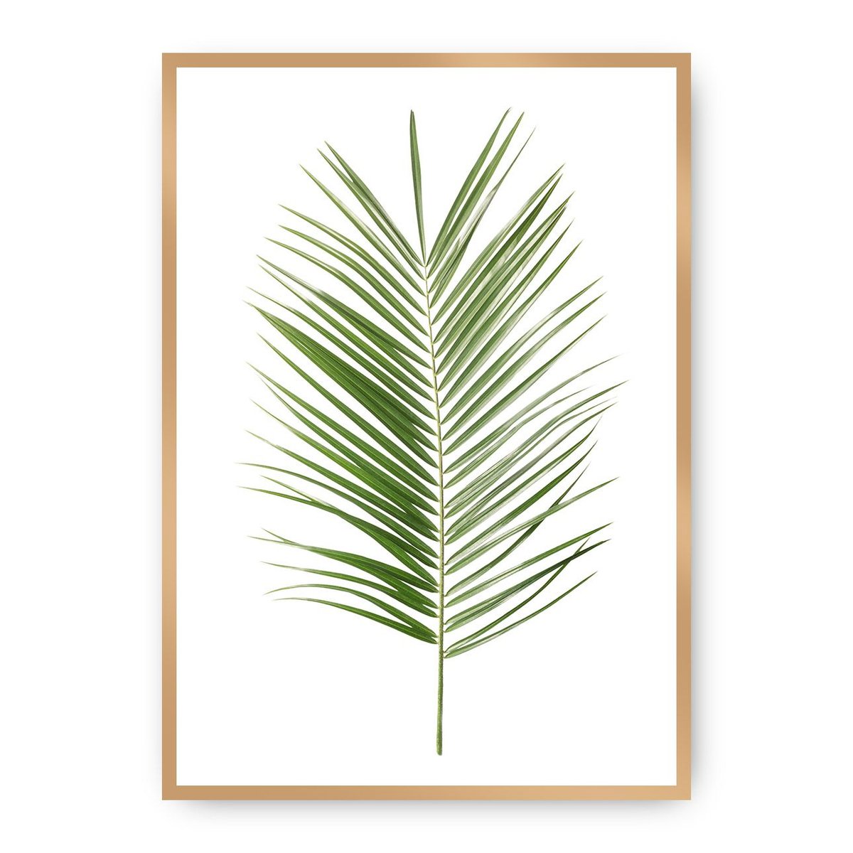Dekoria Dekoria Plakat Palm Leaf Green 21 x 30 cm Ramka Złota 218A-000-06