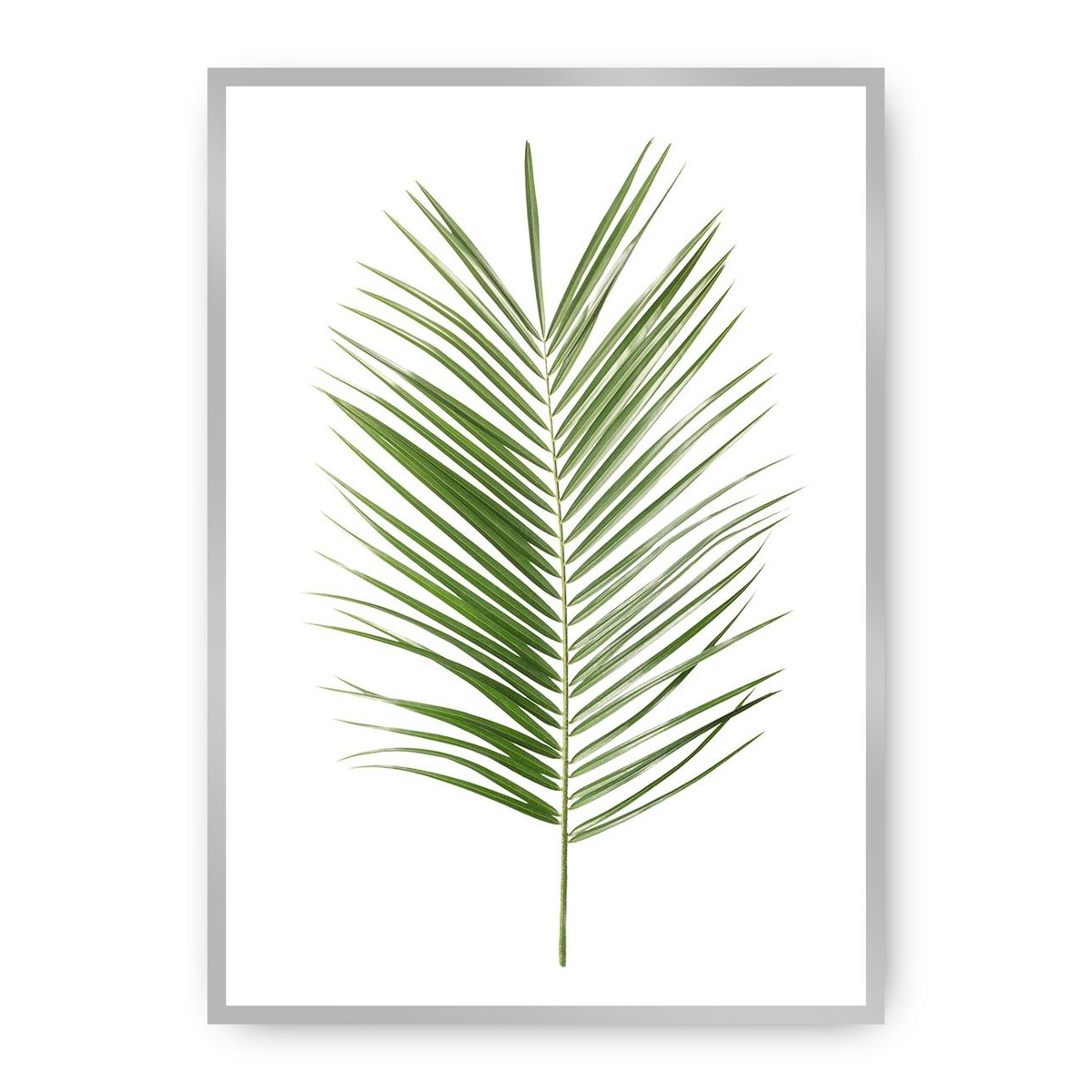 Dekoria Dekoria Plakat Palm Leaf Green 21 x 30 cm Ramka Srebrna 218B-000-06