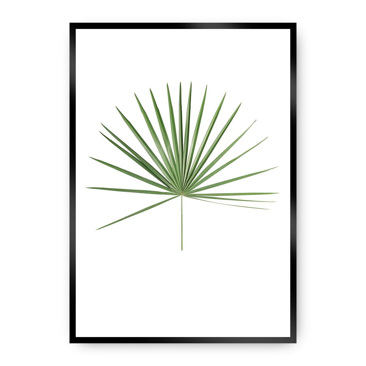 Dekoria Dekoria Plakat Tropical Leaf Green 50 x 70 cm Ramka Czarna 222E-000-14