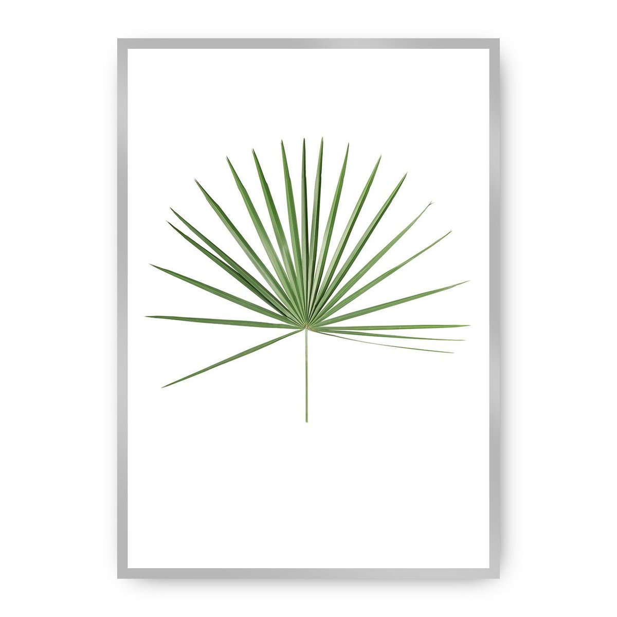 Dekoria Dekoria Plakat Tropical Leaf Green 50 x 70 cm Ramka Srebrna 222G-000-14