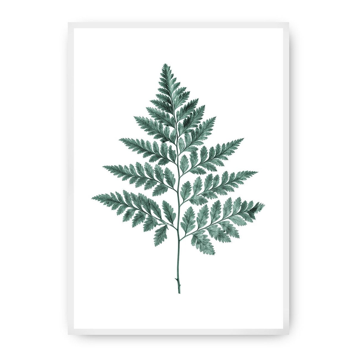 Dekoria Dekoria Plakat Fern Emerald Green 70 x 100 cm Ramka Biała 223F-000-00
