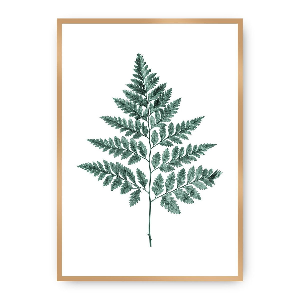 Dekoria Dekoria Plakat Fern Emerald Green 70 x 100 cm Ramka Złota 223H-000-00