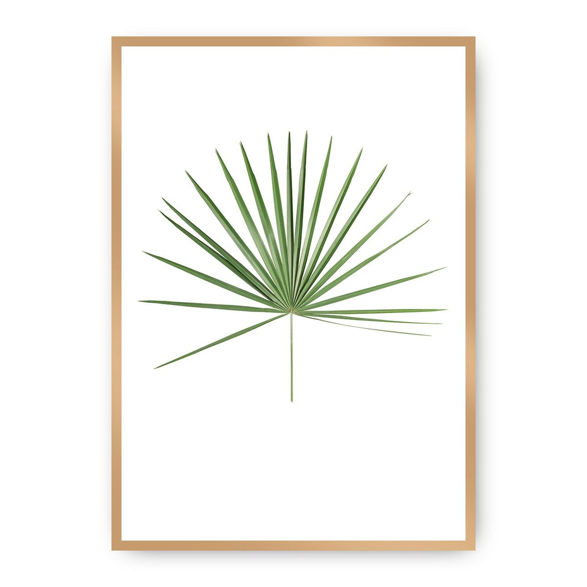 Dekoria Dekoria Plakat Tropical Leaf Green 70 x 100 cm Ramka Złota 223H-000-14