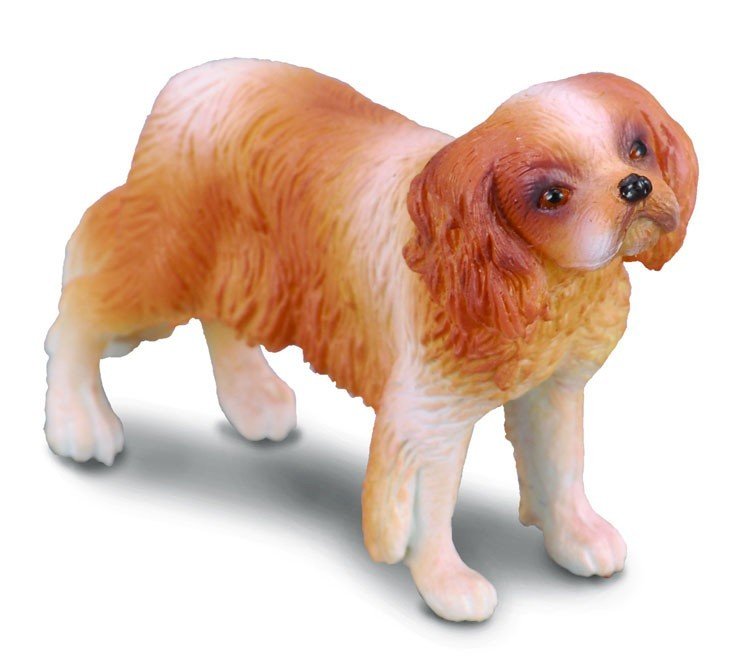 COLLECTA Pies rasy Spaniel Cavalier King Charles .