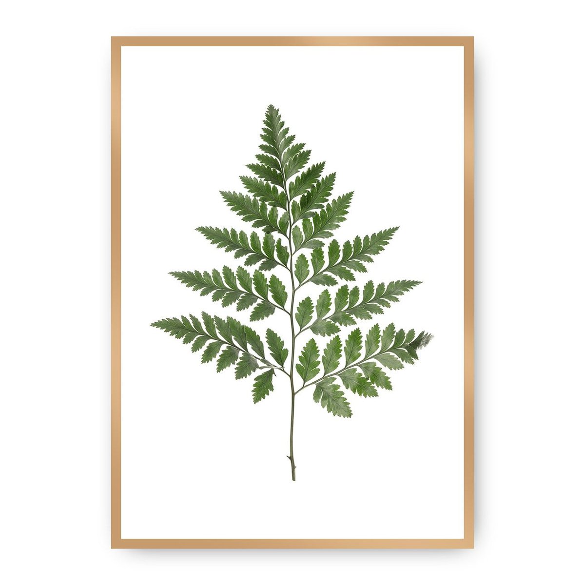 Dekoria Dekoria Plakat Fern Green 50 x 70 cm Ramka Złota 222H-000-08