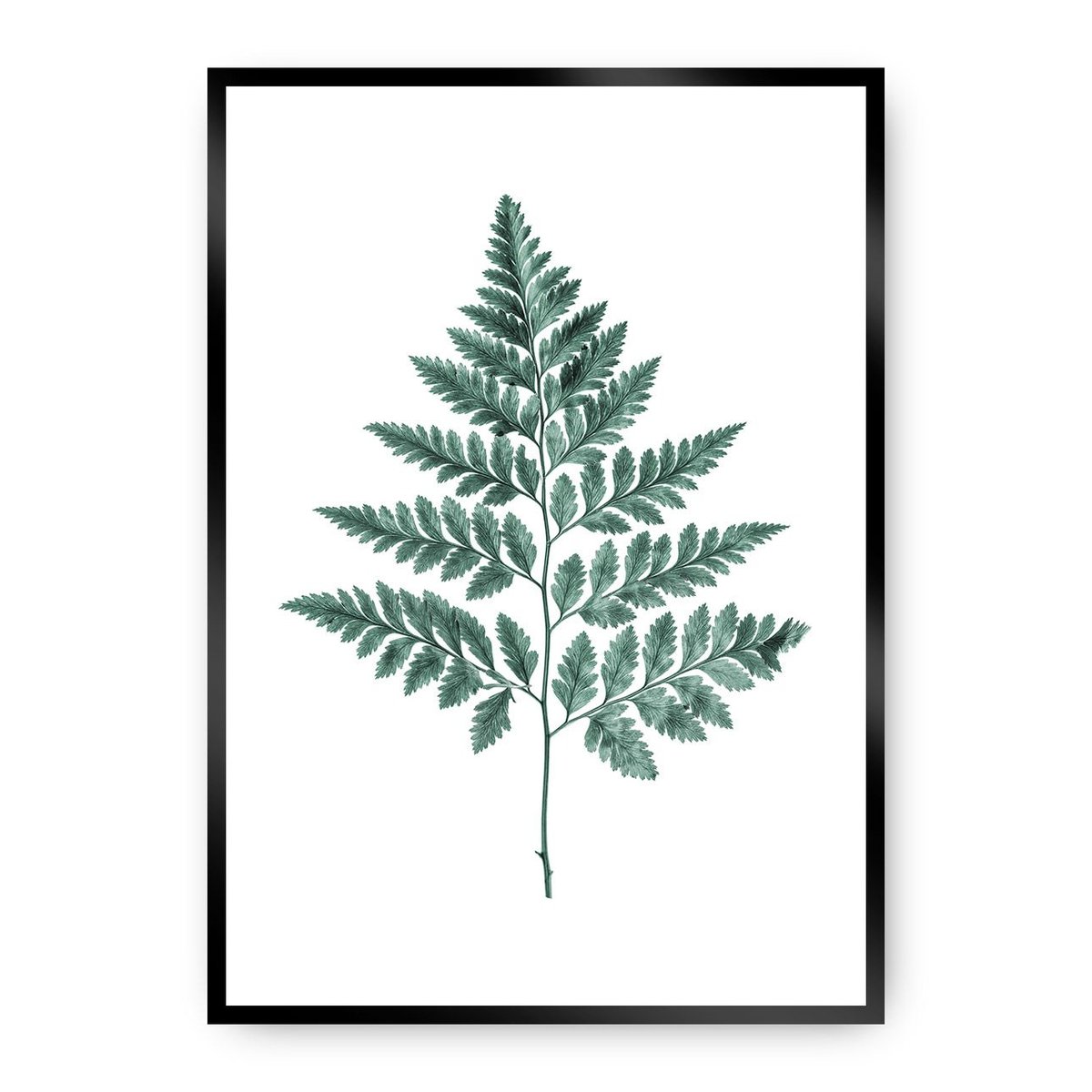 Dekoria Dekoria Plakat Fern Emerald Green 21 x 30 cm Ramka Czarna 218C-000-00