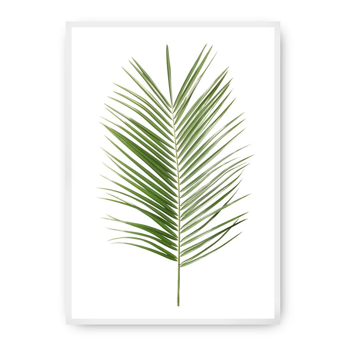 Dekoria Dekoria Plakat Palm Leaf Green 21 x 30 cm Ramka Biała 218D-000-06