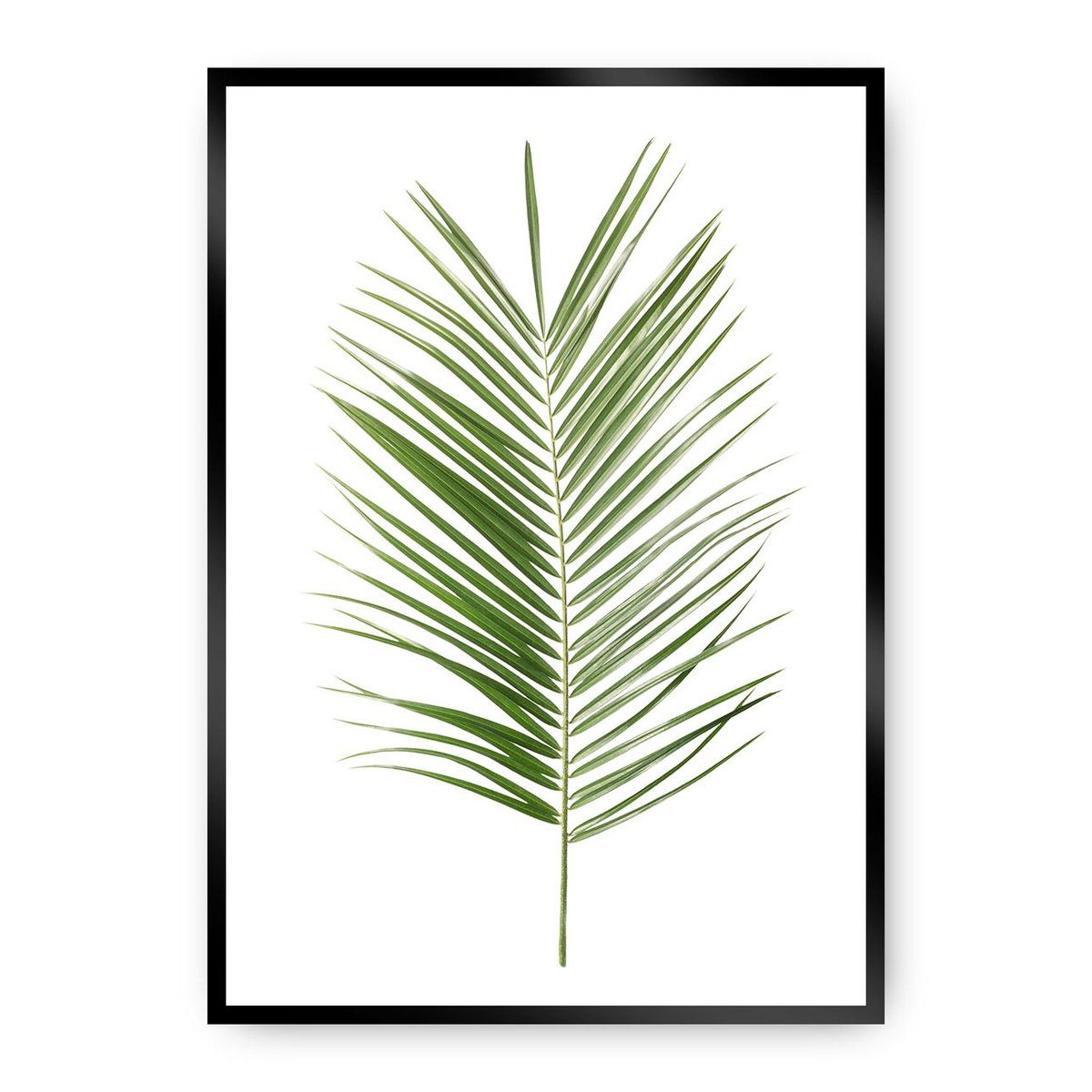 Dekoria Dekoria Plakat Palm Leaf Green 21 x 30 cm Ramka Czarna 218C-000-06
