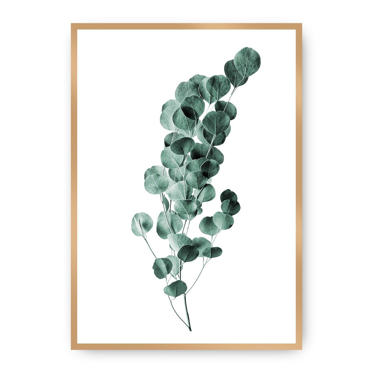Dekoria Dekoria Plakat Eucalyptus Emerald Green 70 x 100 cm Ramka Złota 223H-000-02