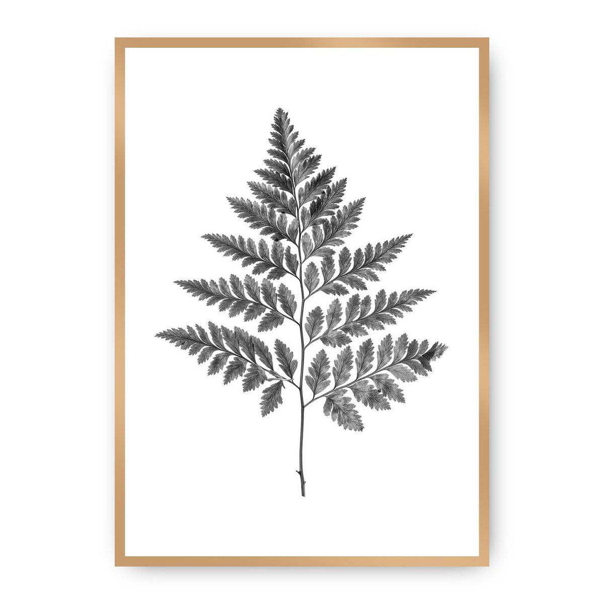 Dekoria Dekoria Plakat Fern Grey 70 x 100 cm Ramka Złota 223H-000-07