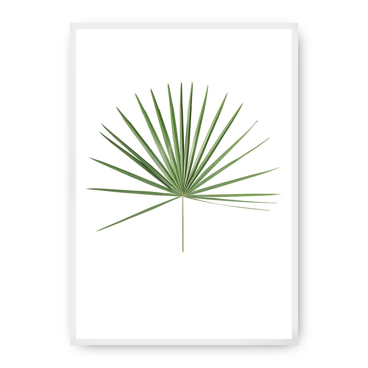 Dekoria Dekoria Plakat Tropical Leaf Green 30 x 40 cm Ramka Biała 219D-000-14