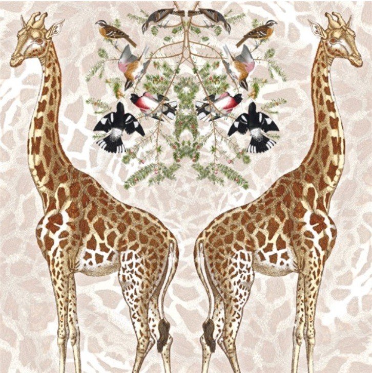 Karnet kwadrat z kopertą Giraffe Museums & Galleries