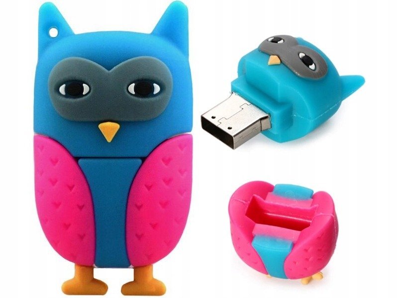 Dr. Memory SOWA SÓWKA ZWIERZE PTAK 16GB 2437-uniw