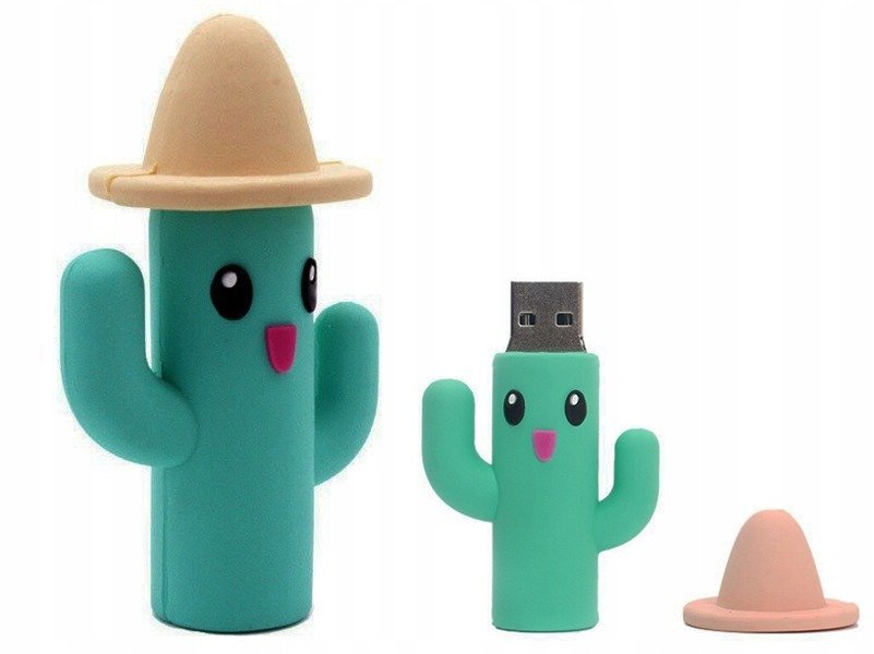 DR.MEMORY Kaktus, 64 GB
