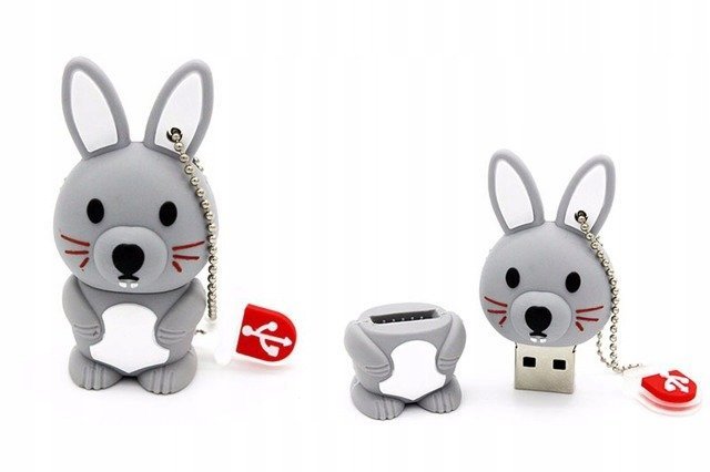 DR.MEMORY Królik, 64 GB
