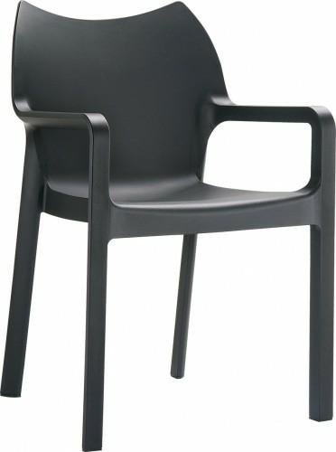 D2.Design Krzesło Dionisio Black Arm chair DK-3252 DK-3252