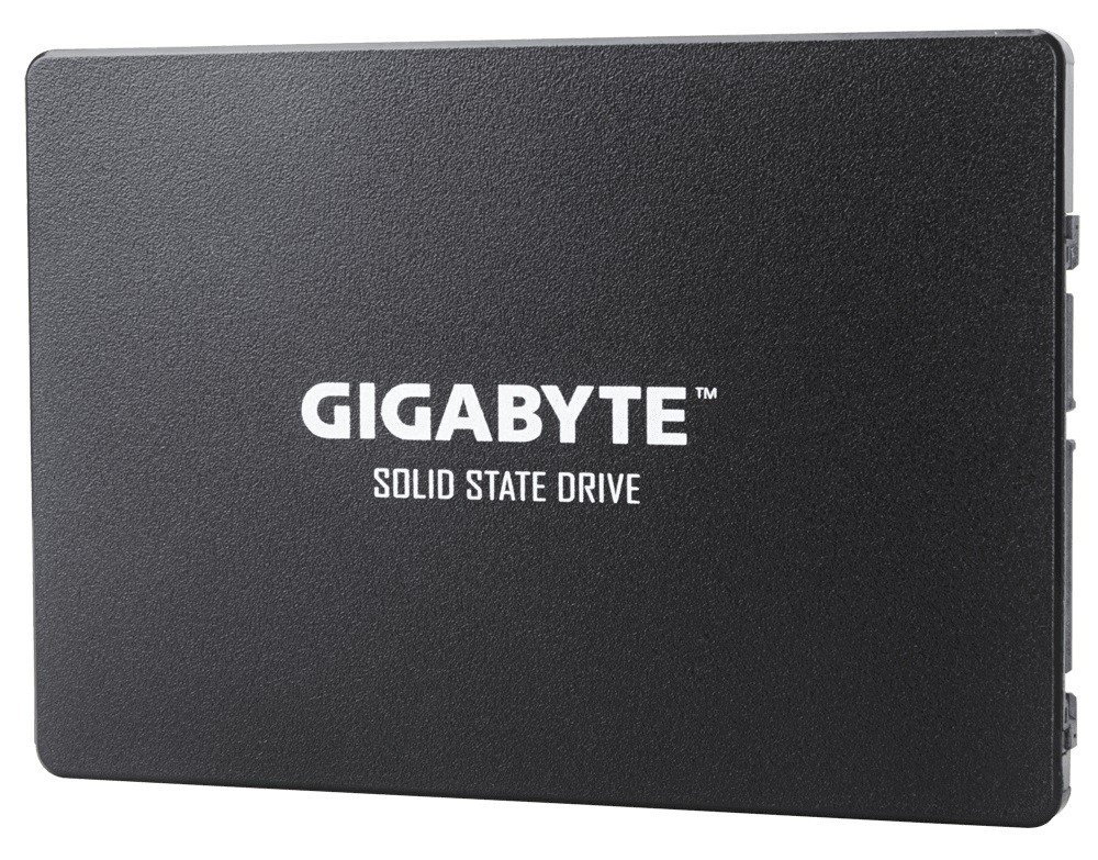 Gigabyte GP-GSTFS31480GNTD