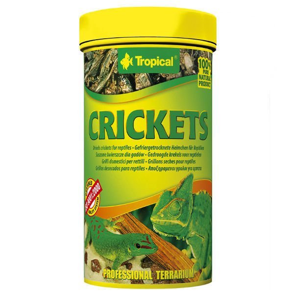 Tropical Cricket suszone świerszcze dla gadów i dużych ryb akwariowych 100ml/10g