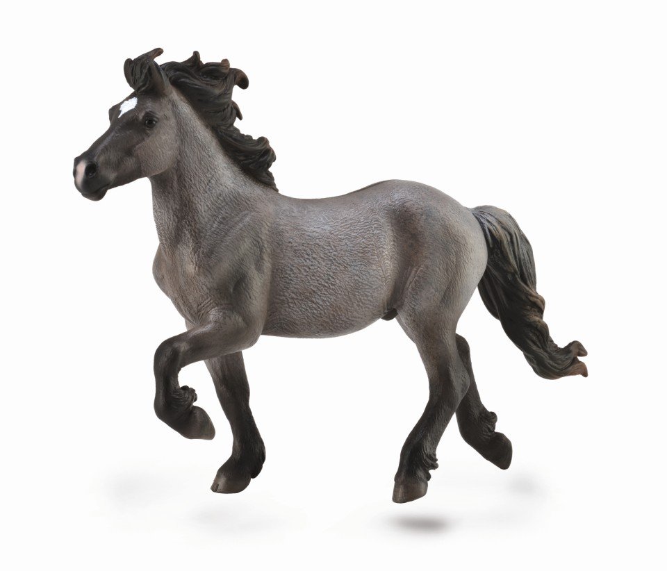 Collecta Ogier islandzki