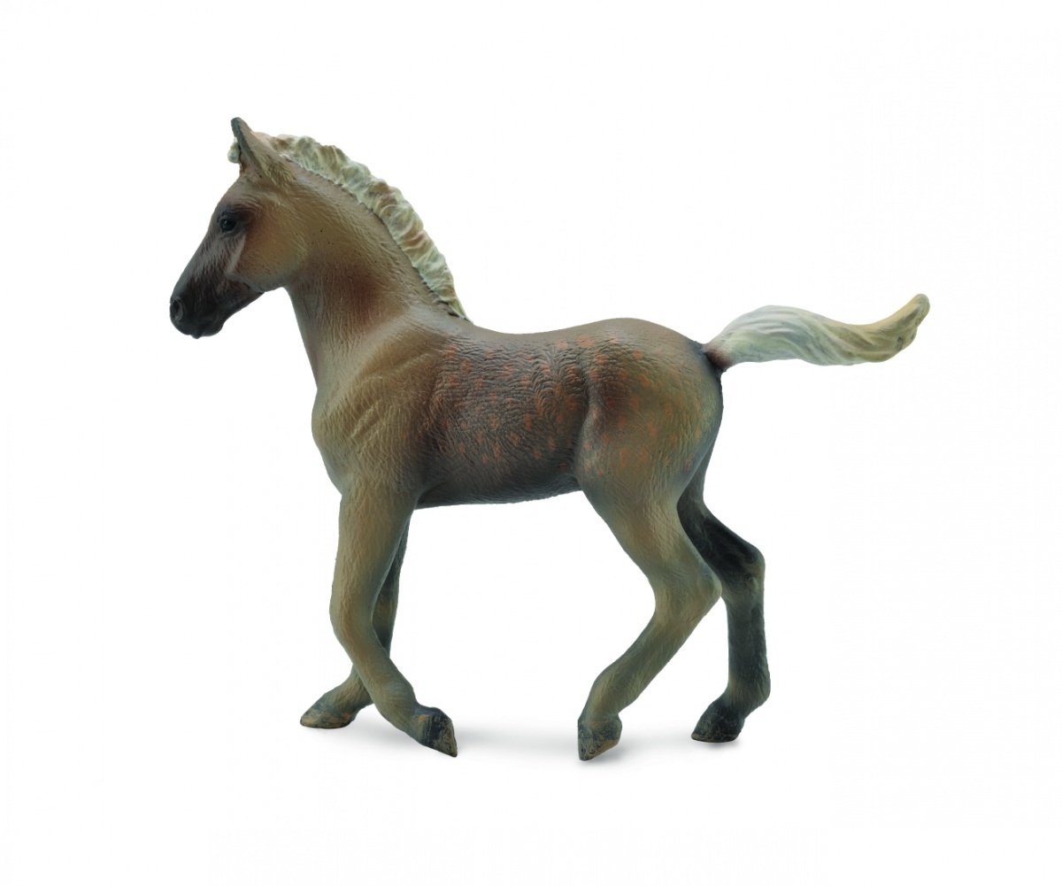 Collecta Źrebię rasy Rocky Mountain M