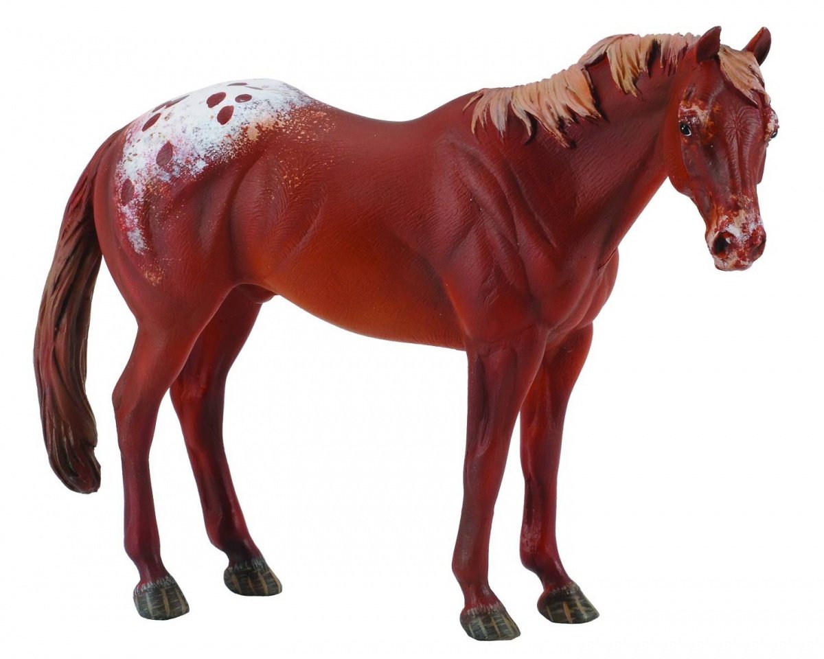 Collecta Ogier rasy Appaloosa kasztan