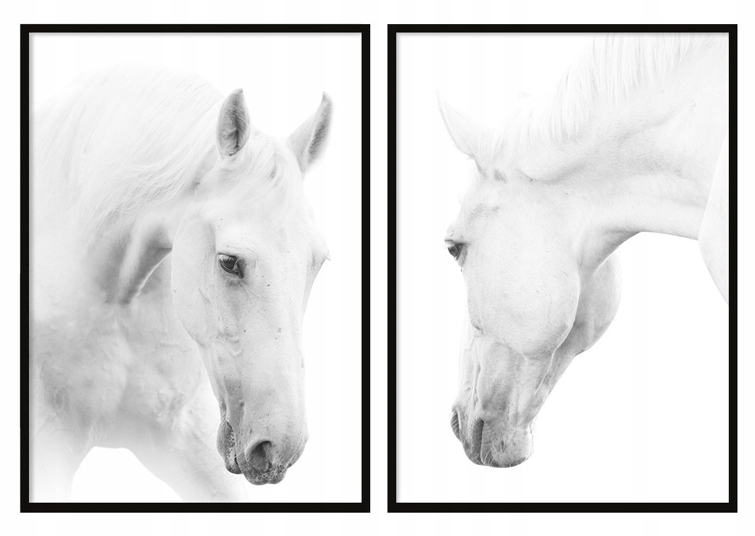 Plakaty w ramie E-DRUK Dyptyk Konie, 53x73 cm