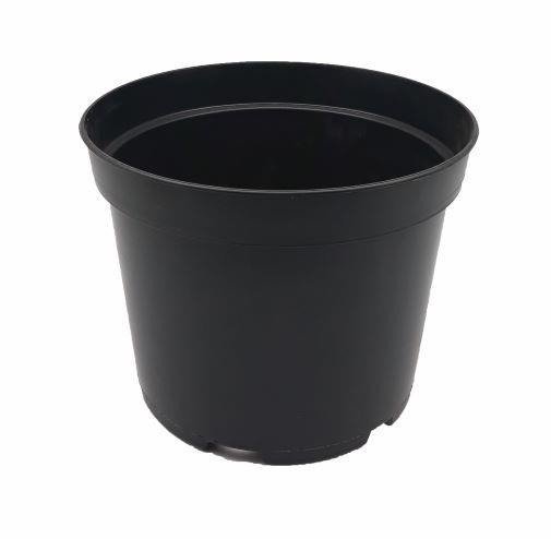 Blumfeldt Tajemniczy Ogród produkcyjna czarna 23cm