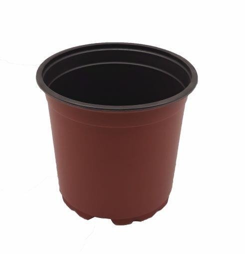 Blumfeldt Tajemniczy Ogród produkcyjna 15 cm