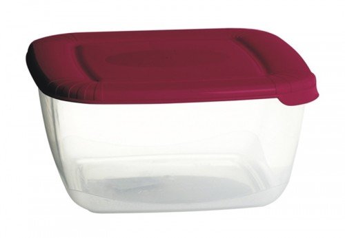 Plast Team poland Pojemnik Na Żywność Kwadrat Polar 0,95L PlastTeam PT16750803