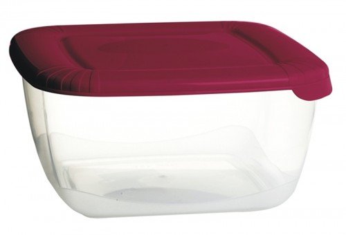 Plast Team poland Pojemnik Na Żywność Kwadrat Polar 2,5L PlastTeam PT16770803