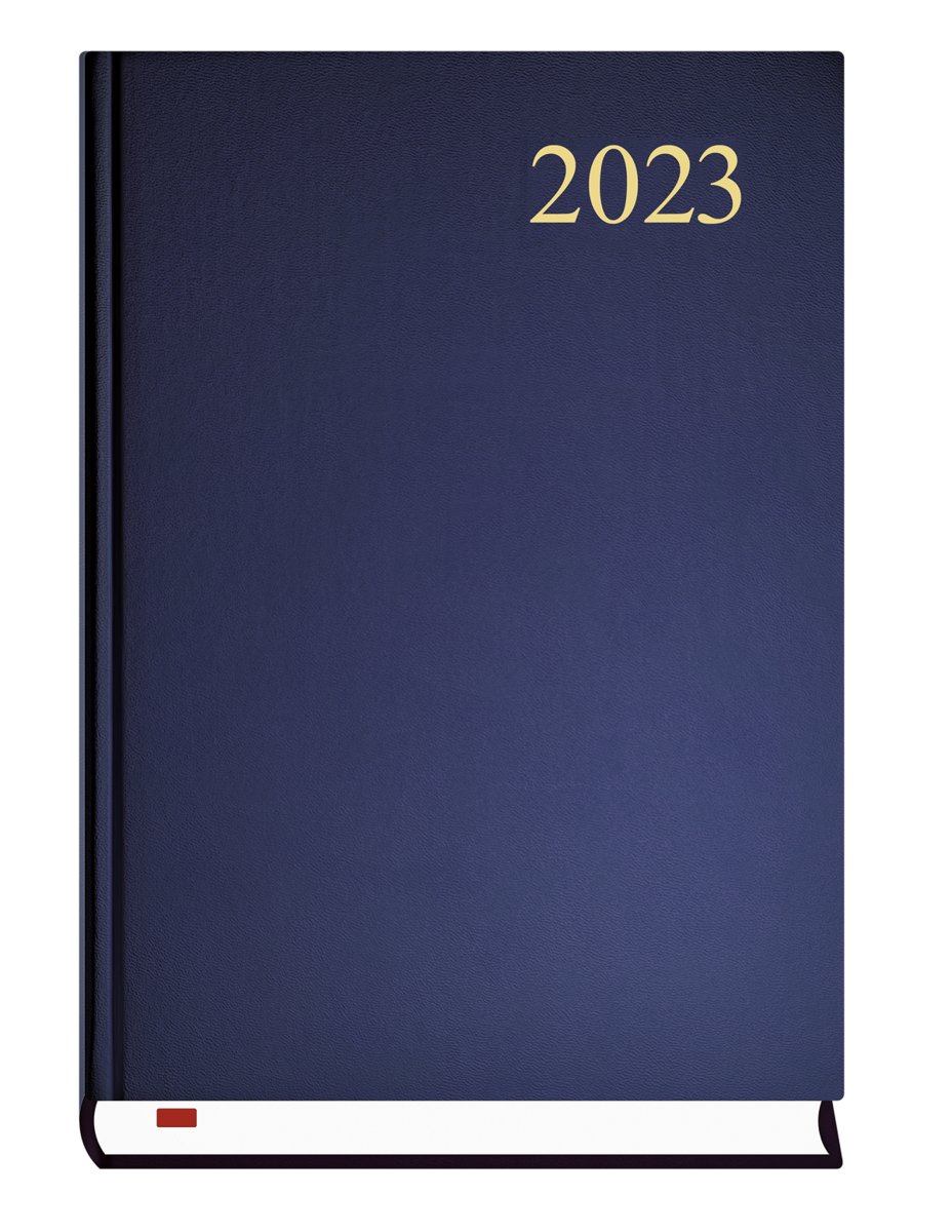 Michalczyk i P. Kalendarze Kalendarz 2018 - niebieski T-237C-N 00163MP