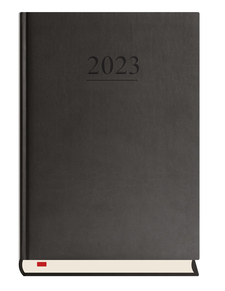 Michalczyk i P. Kalendarze Terminarz Menadżera 2018 - czarny T-203V-V 00073MP
