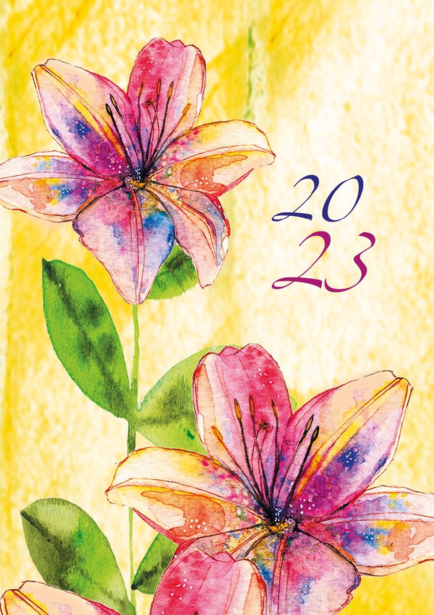 Michalczyk i P. Kalendarze Kalendarz Mikro 2018 - T-Mikro-08 00225MP