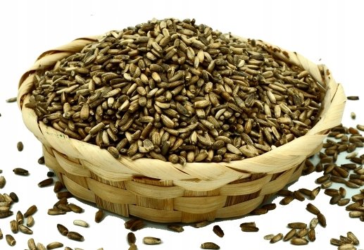 Ostropest plamisty na wątrobę POL 500g NaturHerb