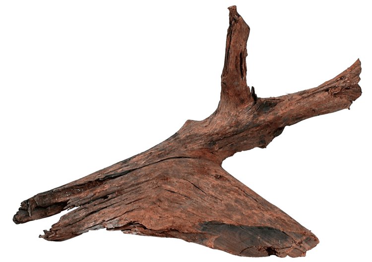 Zolux Dekoracja Korzeń Mangrowca 25-40 cm 356030