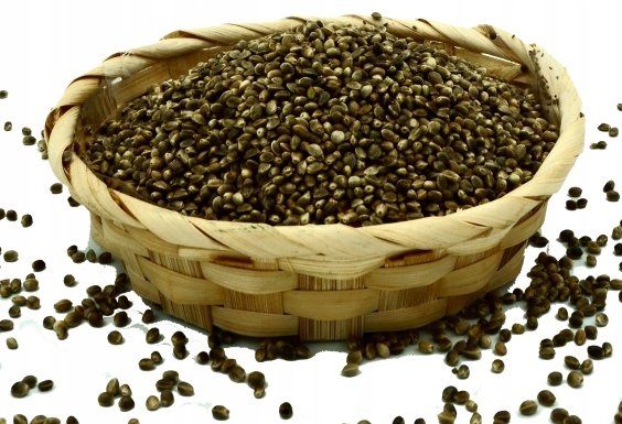 Naturini, ziarna konopi niełuskane naturalne polskie, 1 kg