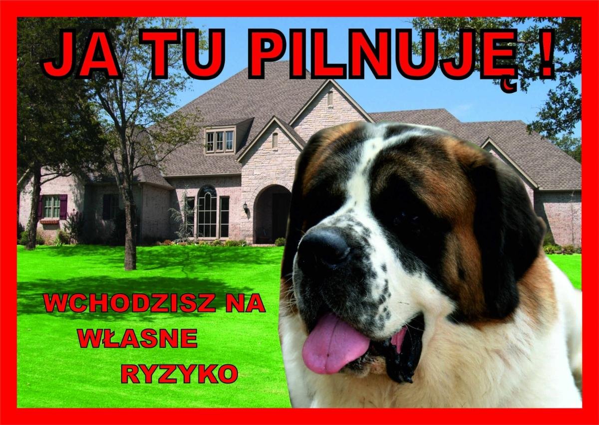 Rokus Rokus Tabliczka 