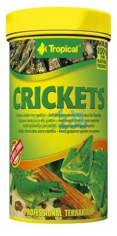Tropical Cricket suszone świerszcze dla gadów i dużych ryb akwariowych 250ml/25g