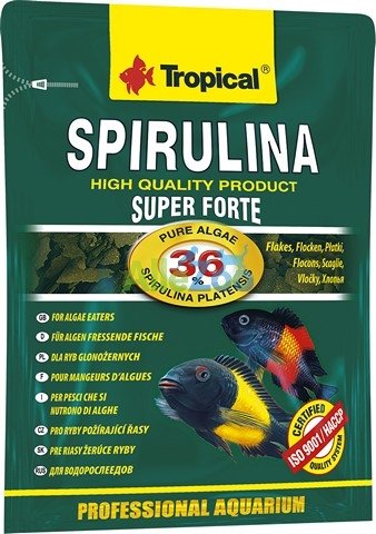 Tropical Spirulina Super Forte pokarm roślinny dla rybek 12g